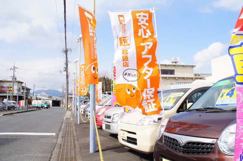 車の選び方 写真